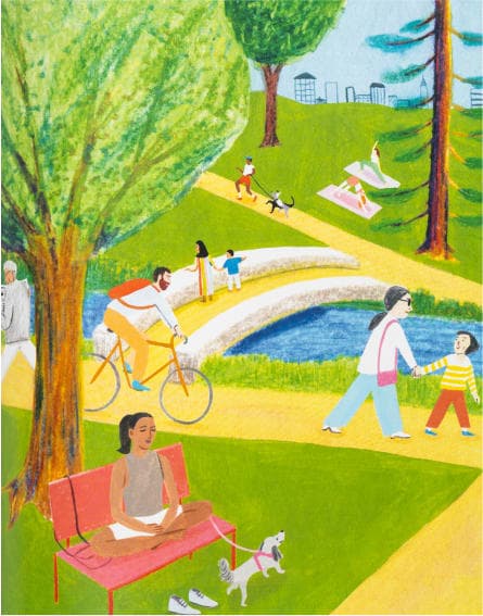 Positive Sum 1 - Single Park Lake Bicycle