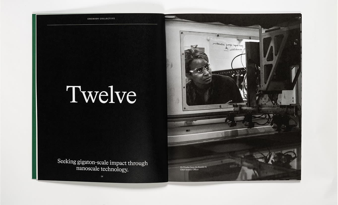 Positive Sum 1 - Double Black Twelve Window Woman