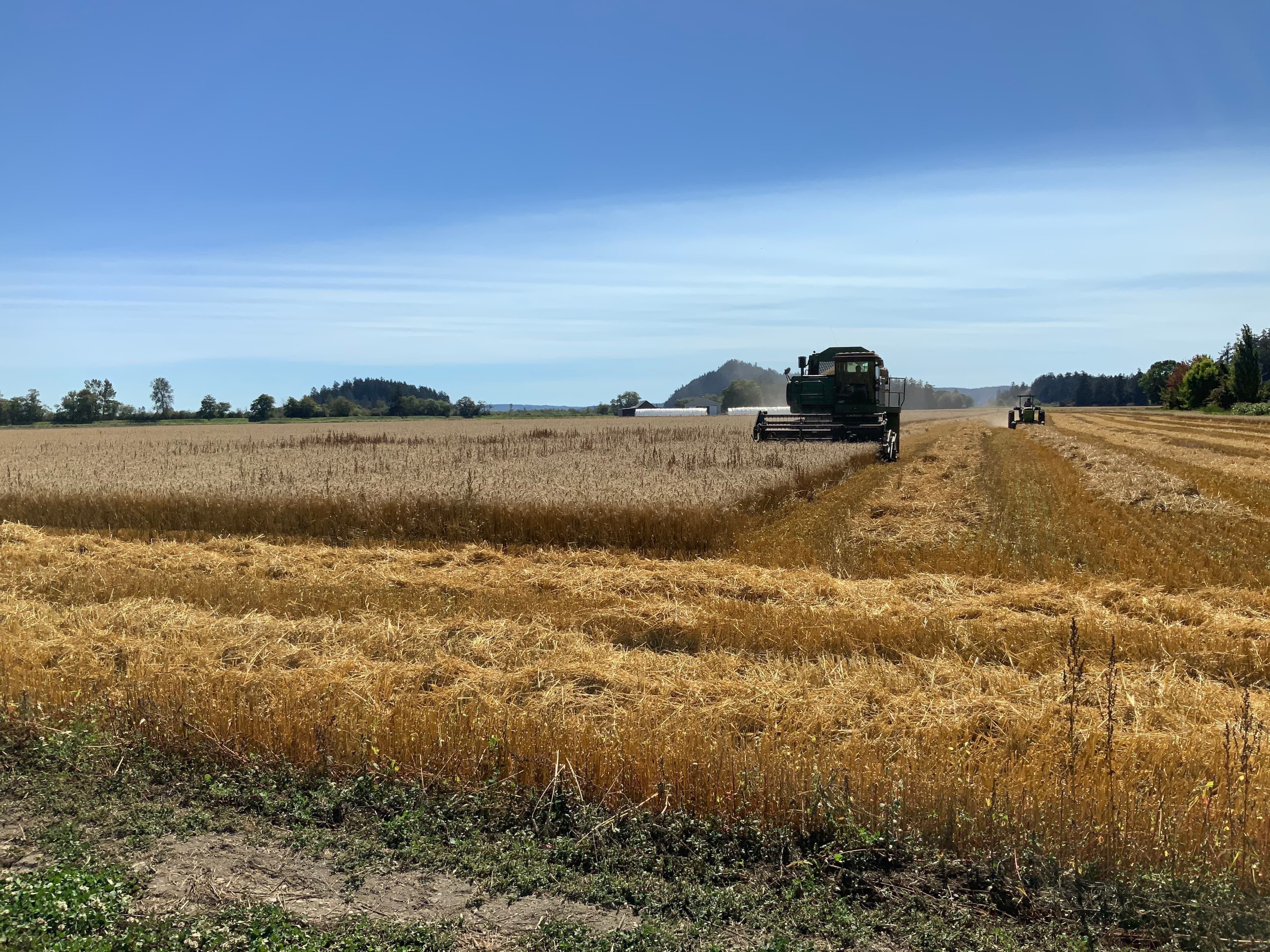 collective_carousel_image